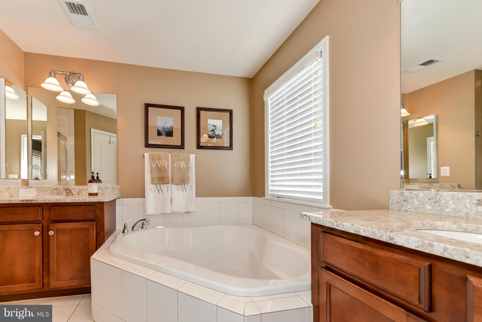 3309 Kemper Road Arlington, VA 22206 - Photo 14 of 23 Bath (Master)
