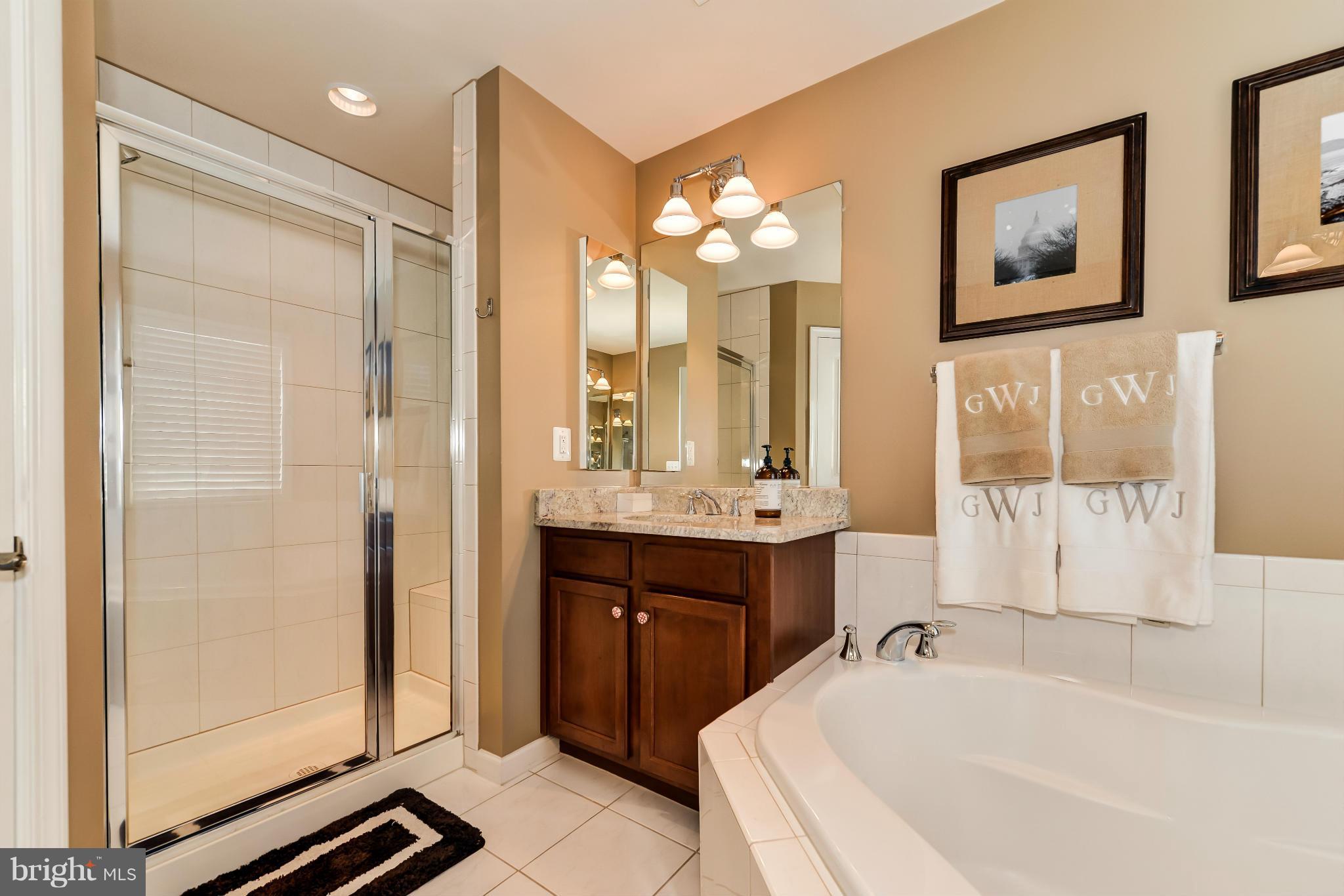 3309 Kemper Road Arlington, VA 22206 - Photo 15 of 23 Bath (Master)