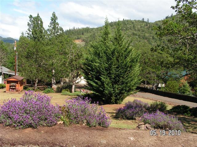 195 Rene Drive Shady Cove, OR 97539 - Photo 12 of 25 Additional Photo