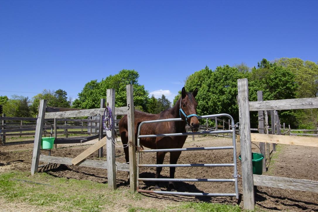 809 Sandwich Road East Falmouth, MA 02536 - Photo 16 of 20 a view of outdoor space and seating area