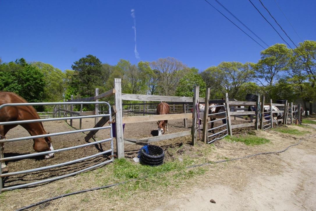 809 Sandwich Road East Falmouth, MA 02536 - Photo 18 of 20 a view of yard with seating area