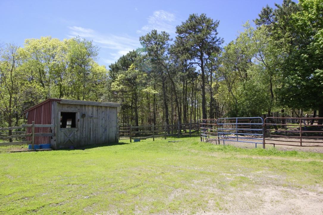 809 Sandwich Road East Falmouth, MA 02536 - Photo 19 of 20 a backyard of a house with lots of green space