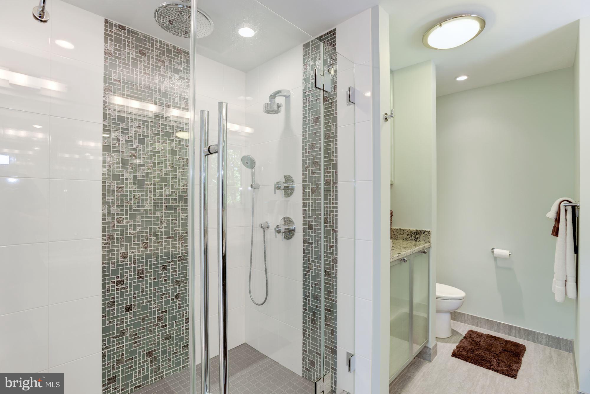 10718 Cross School Road Reston, VA 20191 - Photo 16 of 30 Bath (Master)