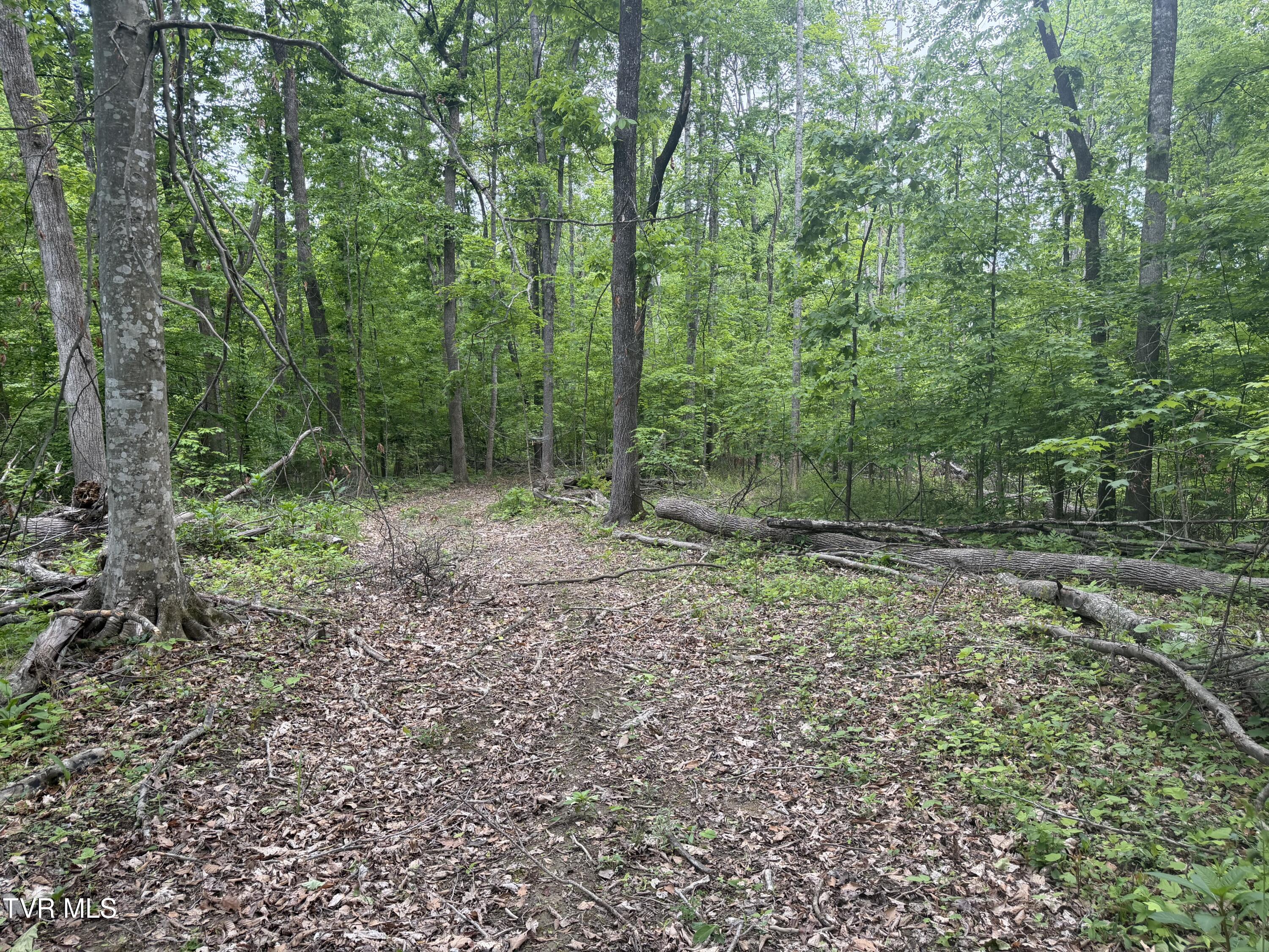 955 Old Hall Road, Unit 1 Chuckey, TN 37641 - Photo 12 of 31 IMG_4993