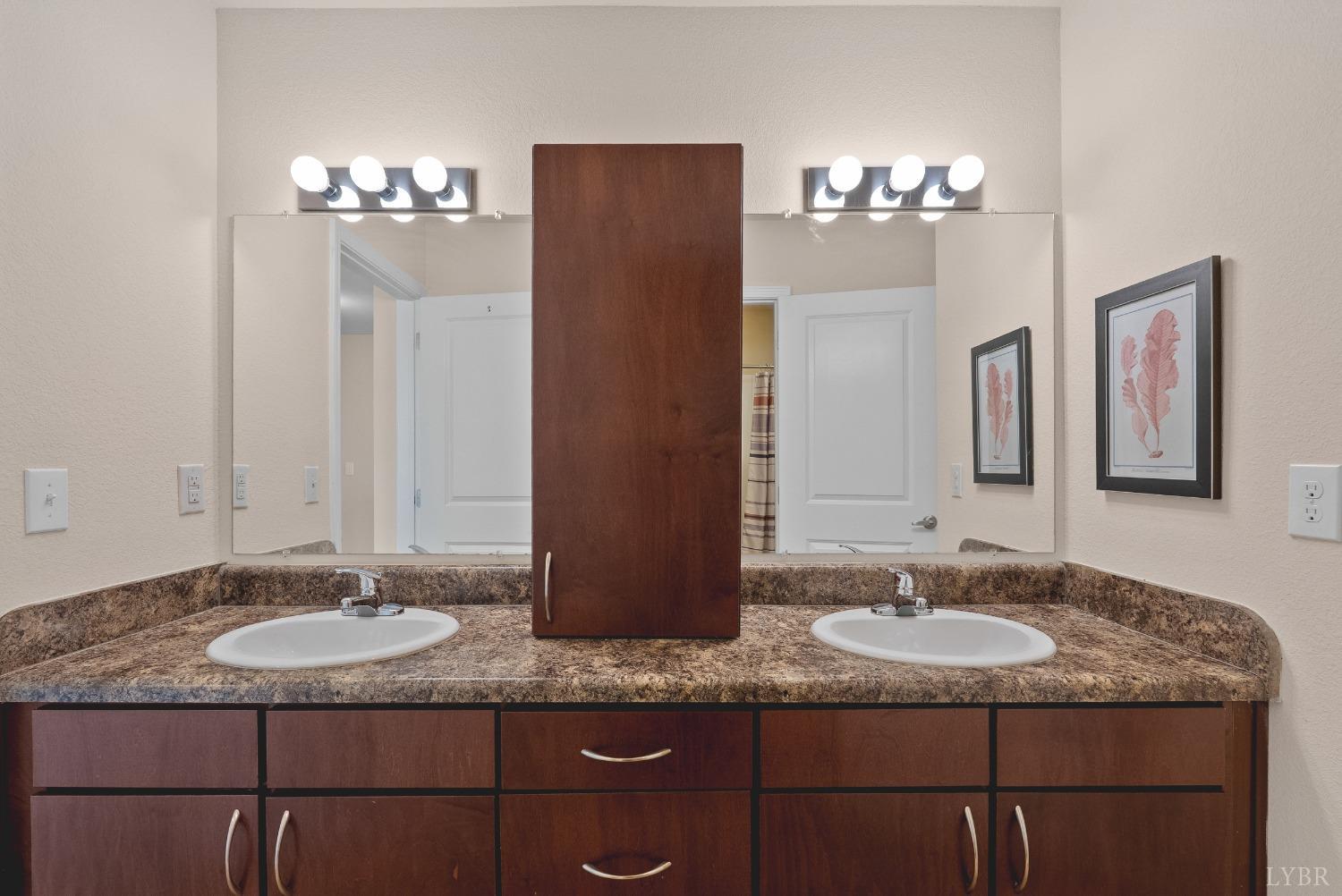 1600 Wards Ferry Road, Unit 1001 Lynchburg, VA 24502 - Photo 32 of 48 a bathroom with a granite countertop sink a mirror and shower