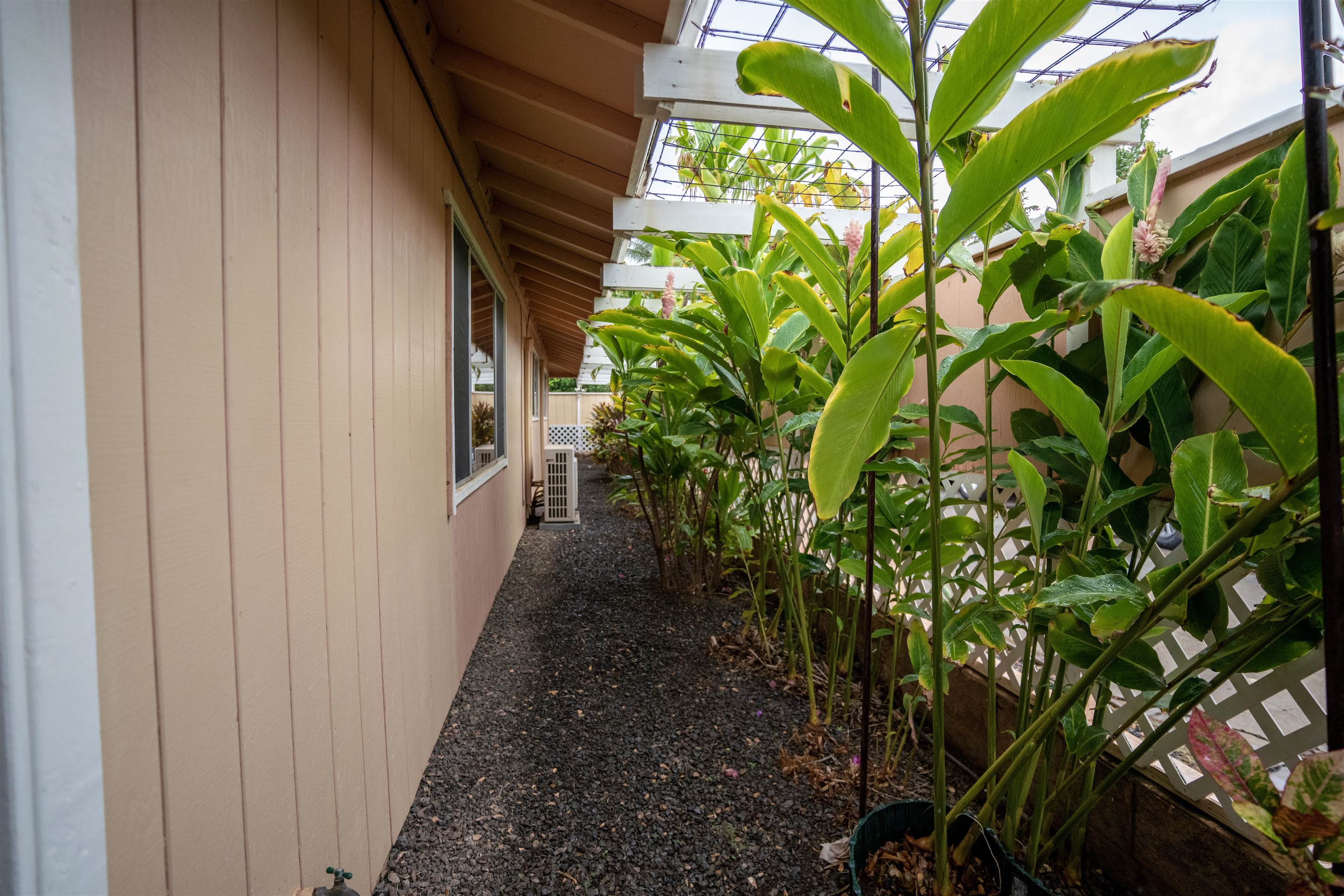 107 Mehani Place Kihei, HI 96753 - Photo 27 of 30 a view of a yard with plants