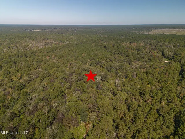 $300,000 | New Hope Road, Wiggins, MS 39577