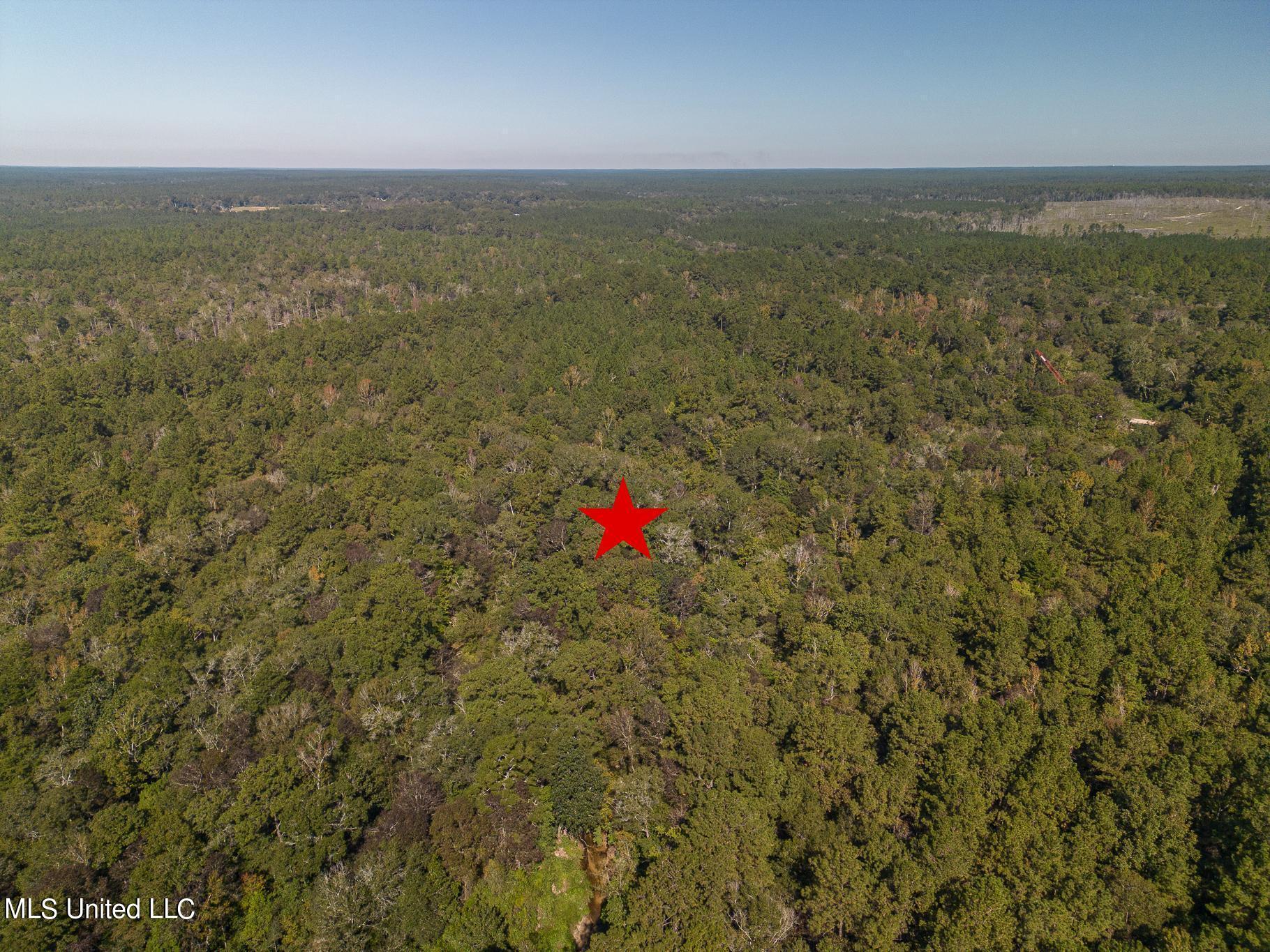 New Hope Road Wiggins, MS 39577 - Photo 3 of 10 New Hope Road-50z