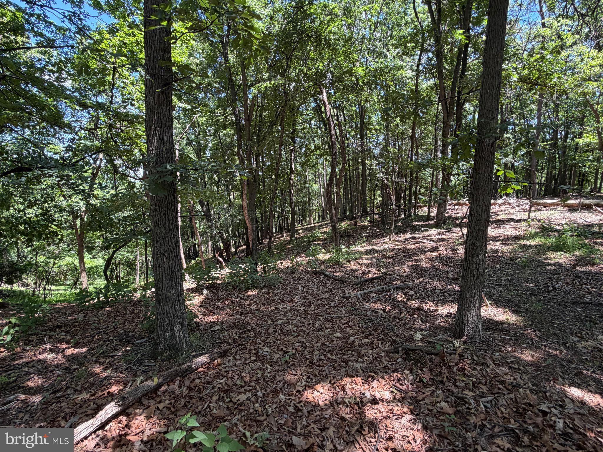 511 Chickadee Road Purgitsville, WV 26852 - Photo 48 of 99