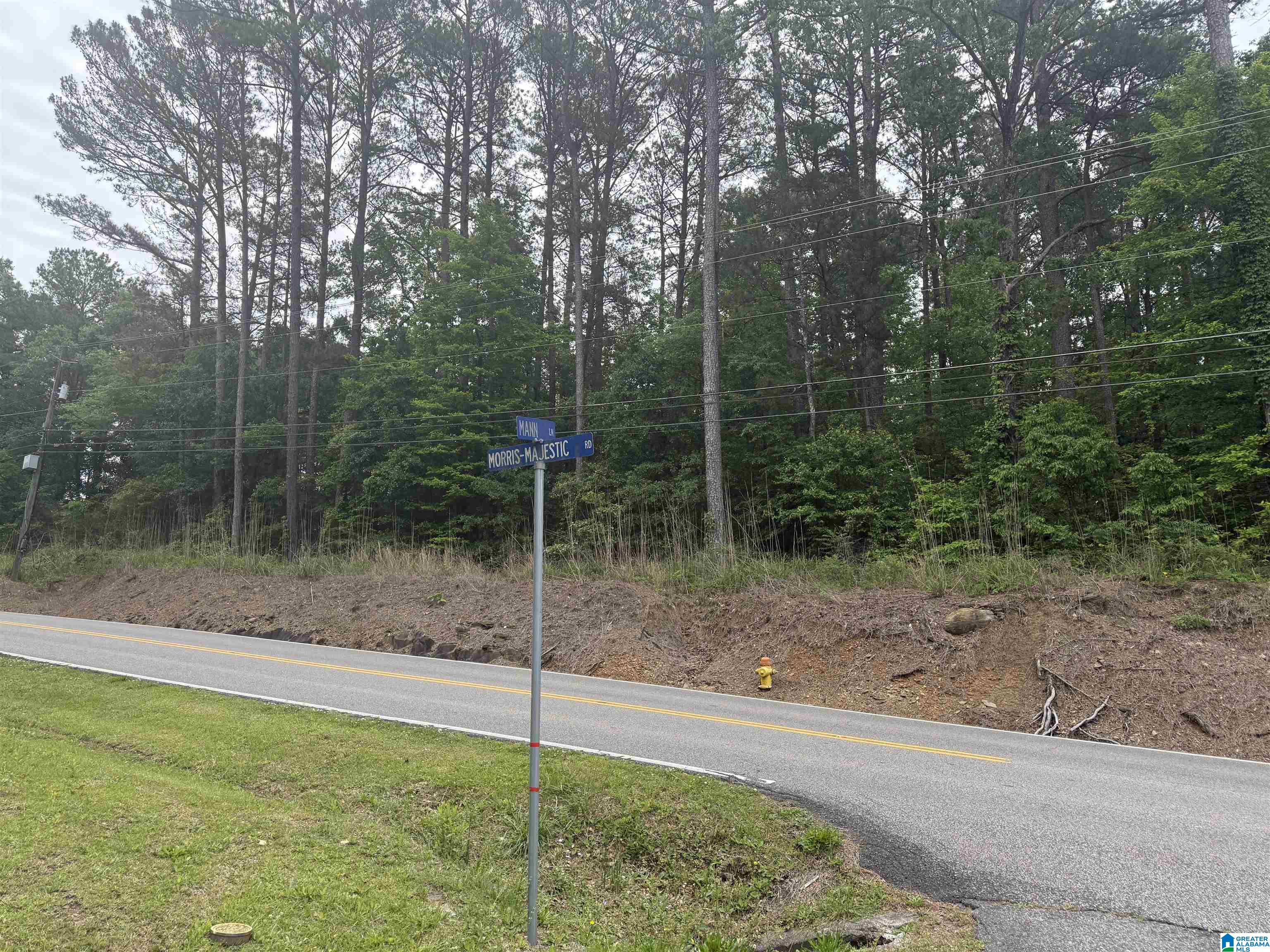 903 Morris Majestic Road, Unit NEW CONSTRUCTION Morris, AL 35116 - Photo 2 of 3