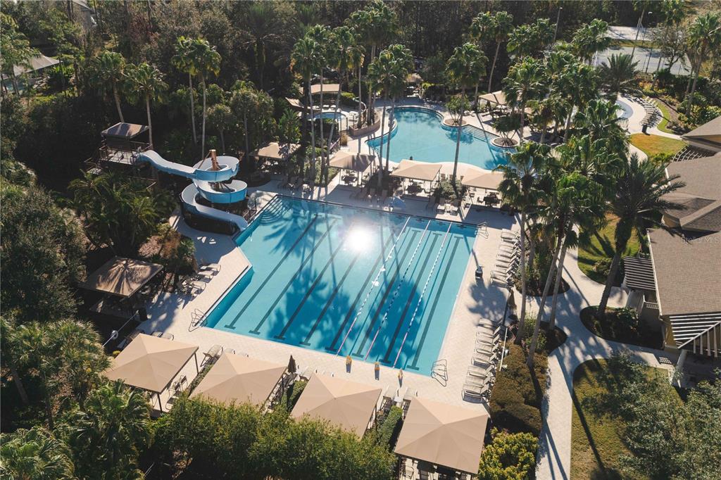 4522 Scarlet Loop Wesley Chapel, FL 33544 - Photo 34 of 47