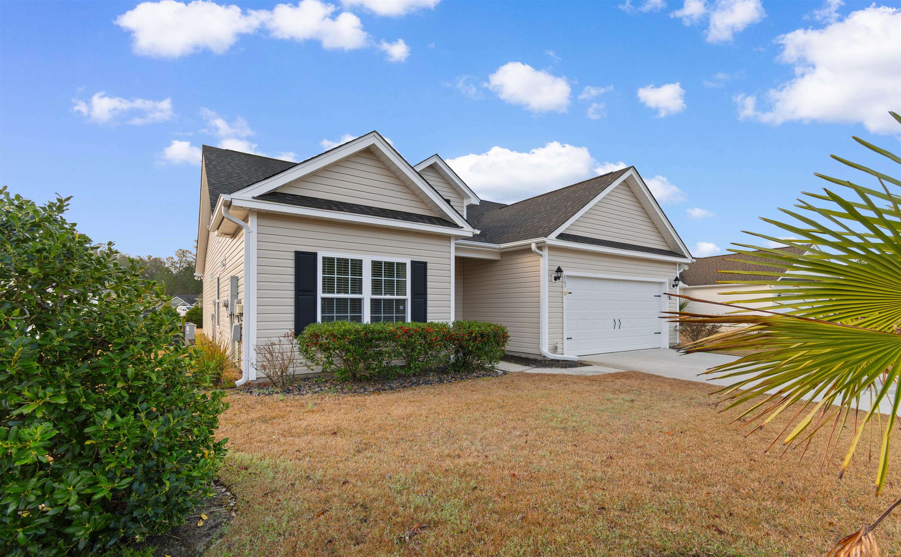 805 Payne Court Conway, SC 29526 - Photo 3 of 37