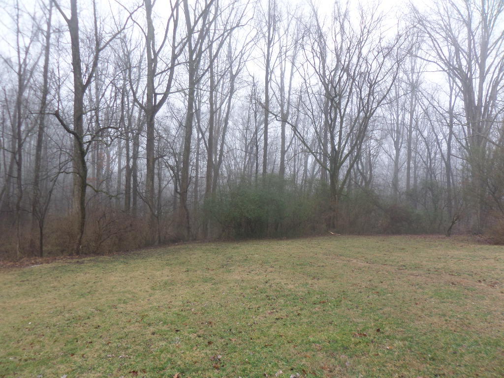 111 Wayside Road Oak Ridge, TN 37830 - Photo 21 of 22 Back Yard