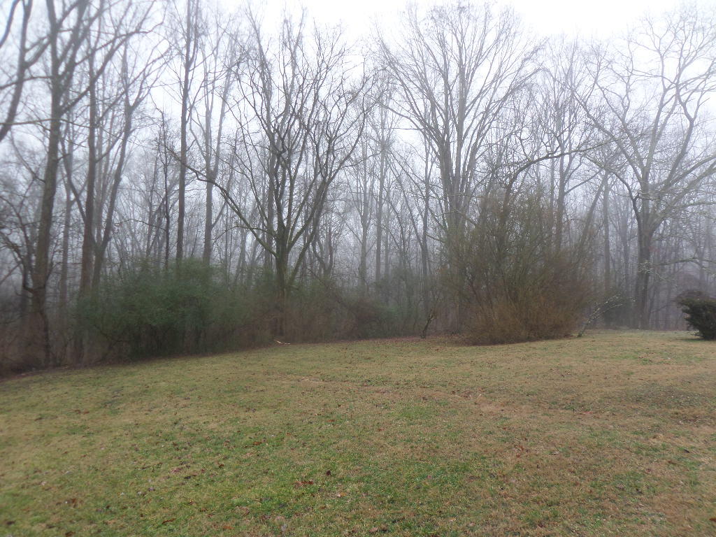 111 Wayside Road Oak Ridge, TN 37830 - Photo 22 of 22 Back Yard