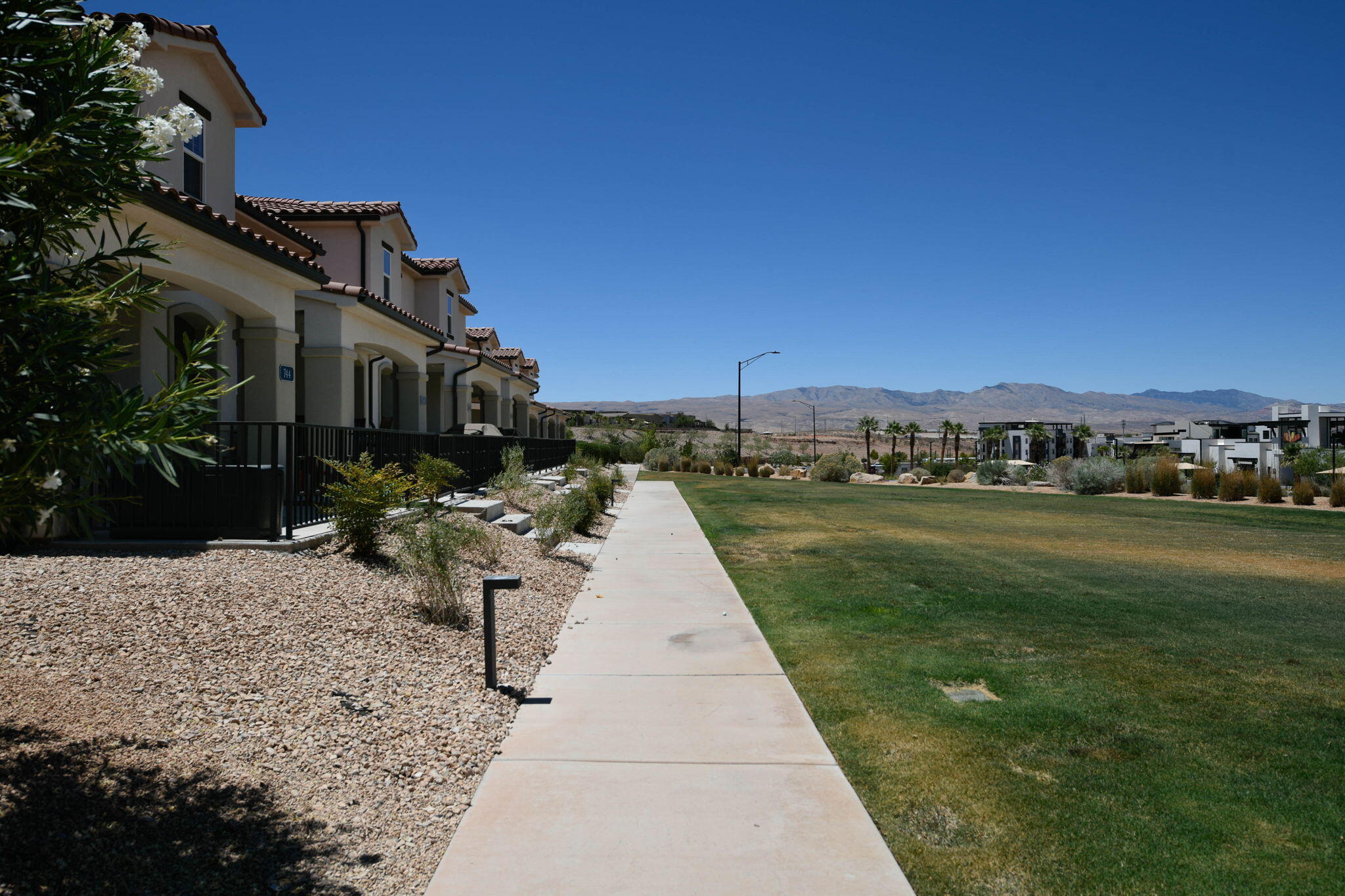 744 West Sunfire Lane St. George, UT 84790 - Photo 53 of 56 grass