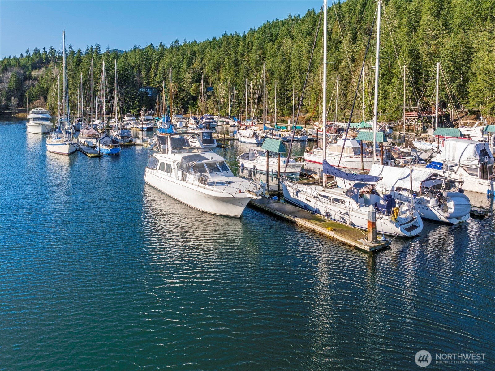 308913 Highway 101, Unit C40 Brinnon, WA 98320 - Photo 12 of 16