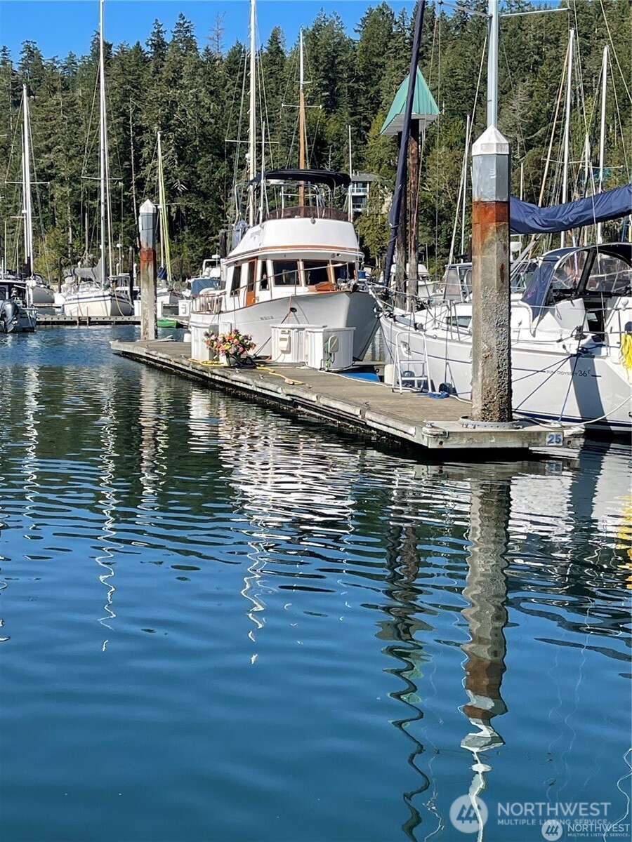 308913 Highway 101, Unit C40 Brinnon, WA 98320 - Photo 3 of 16