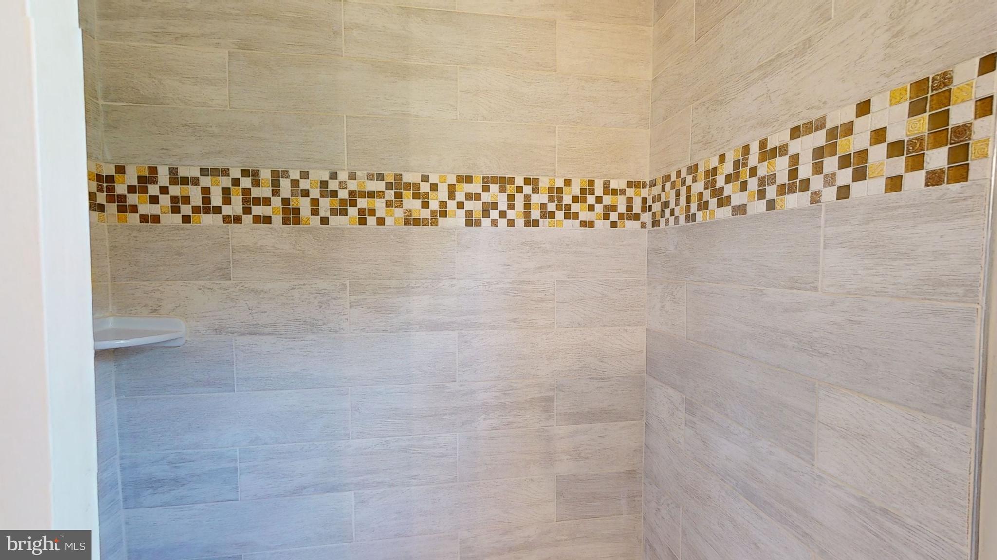 405 Gilmoure Drive Silver Spring, MD 20901 - Photo 23 of 35 Full Bath Shower Details