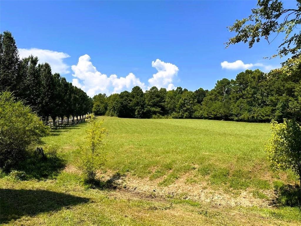 3746 Maple Grove Church Road Resaca, GA 30735 - Photo 12 of 58