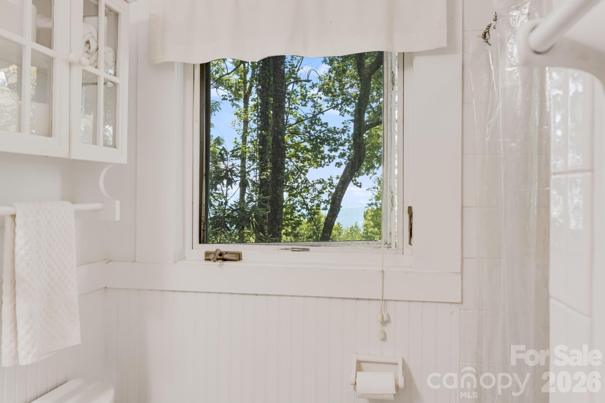203 Laurel Lane Marion, NC 28752 - Photo 23 of 48