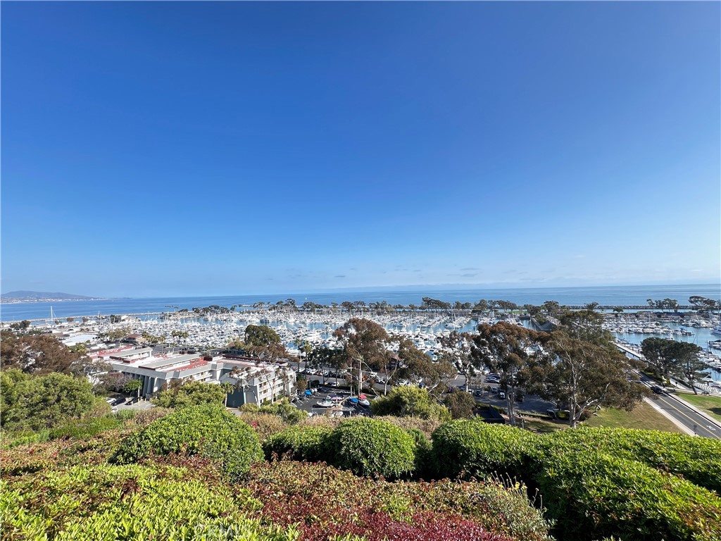 33852 Copper Lantern Street, Unit F Dana Point, CA 92629 - Photo 36 of 44 an aerial view of multiple house
