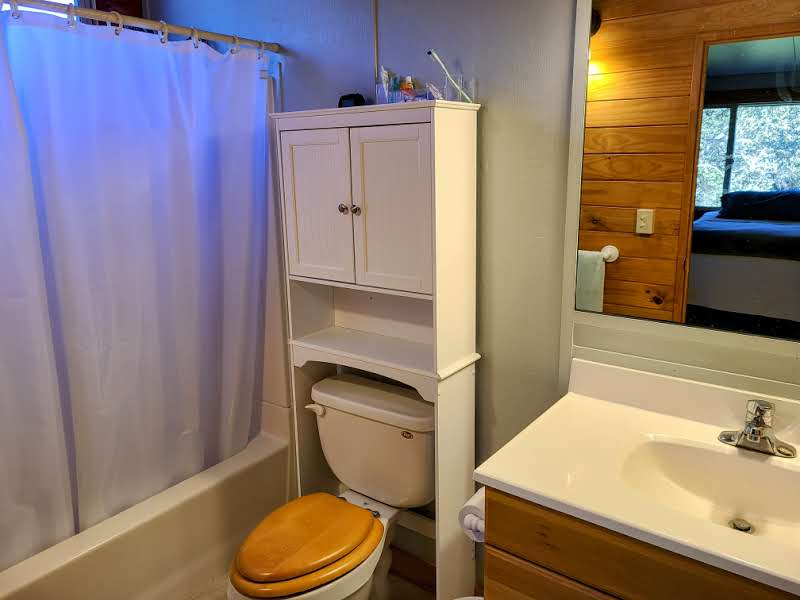 99-7721 Kilau Place Volcano, HI 96785 - Photo 13 of 28 a bathroom with a sink a toilet and shower curtain