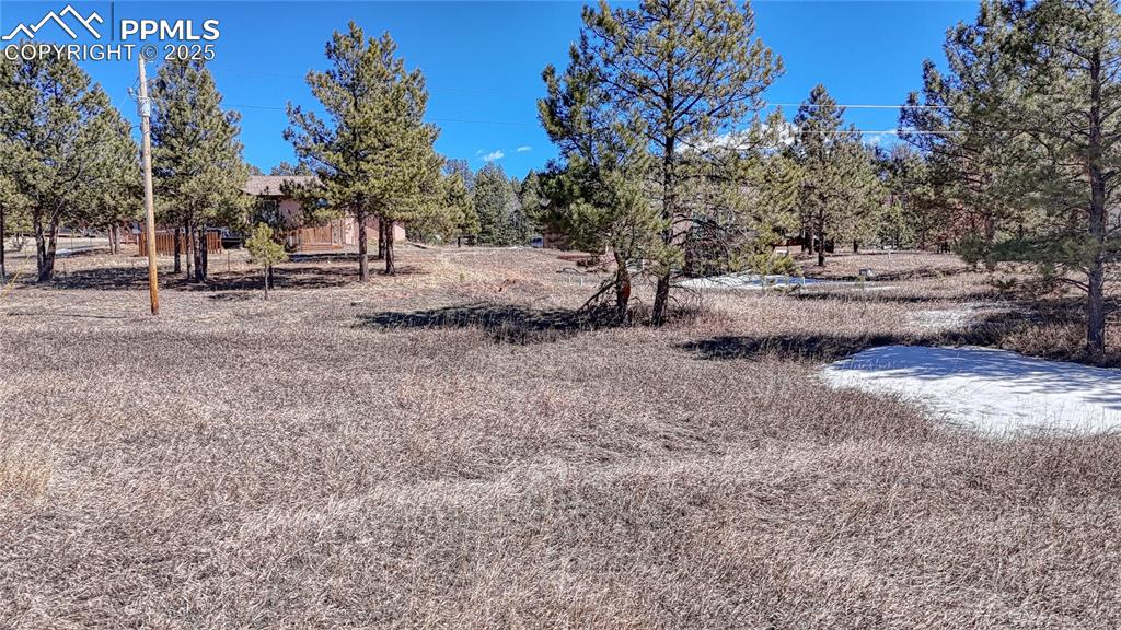 394 Due S Road Florissant, CO 80816 - Photo 16 of 28 a view of backyard with green space