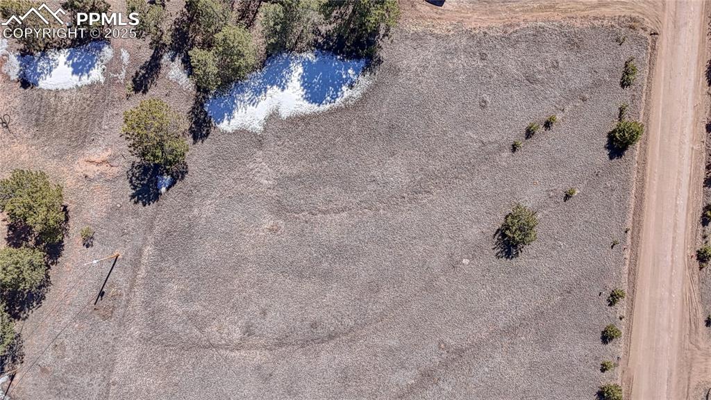 394 Due S Road Florissant, CO 80816 - Photo 2 of 28 a view of a plant in a field