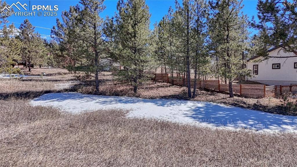 394 Due S Road Florissant, CO 80816 - Photo 22 of 28 a view of a backyard with large trees
