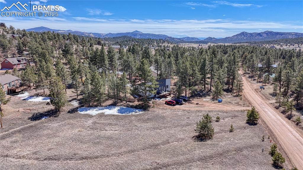 394 Due S Road Florissant, CO 80816 - Photo 23 of 28 a view of a forest with a mountain
