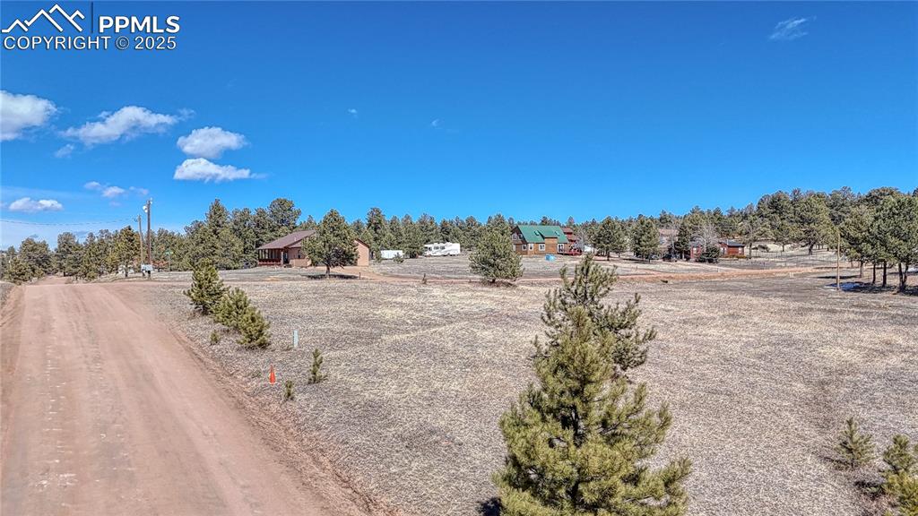 394 Due S Road Florissant, CO 80816 - Photo 4 of 28 a view of a yard with a tree
