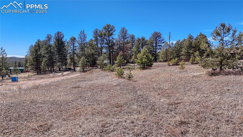 394 Due S Road Florissant, CO 80816 - Photo 7 of 28 a view of a dry yard with trees in the background
