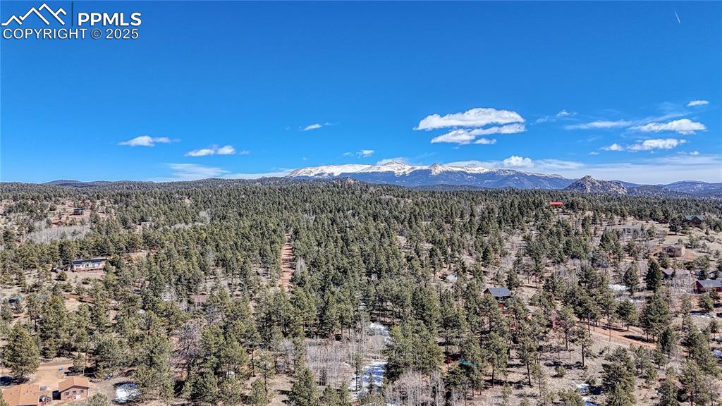 394 Due S Road Florissant, CO 80816 - Photo 8 of 28