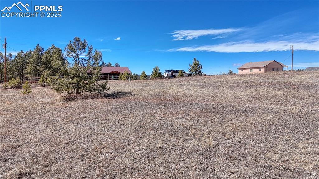 394 Due S Road Florissant, CO 80816 - Photo 9 of 28 a view of a dry yard with a tree