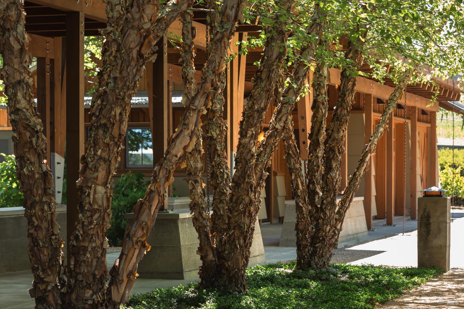 437 West Dry Creek Road Healdsburg, CA 95448 - Photo 35 of 74