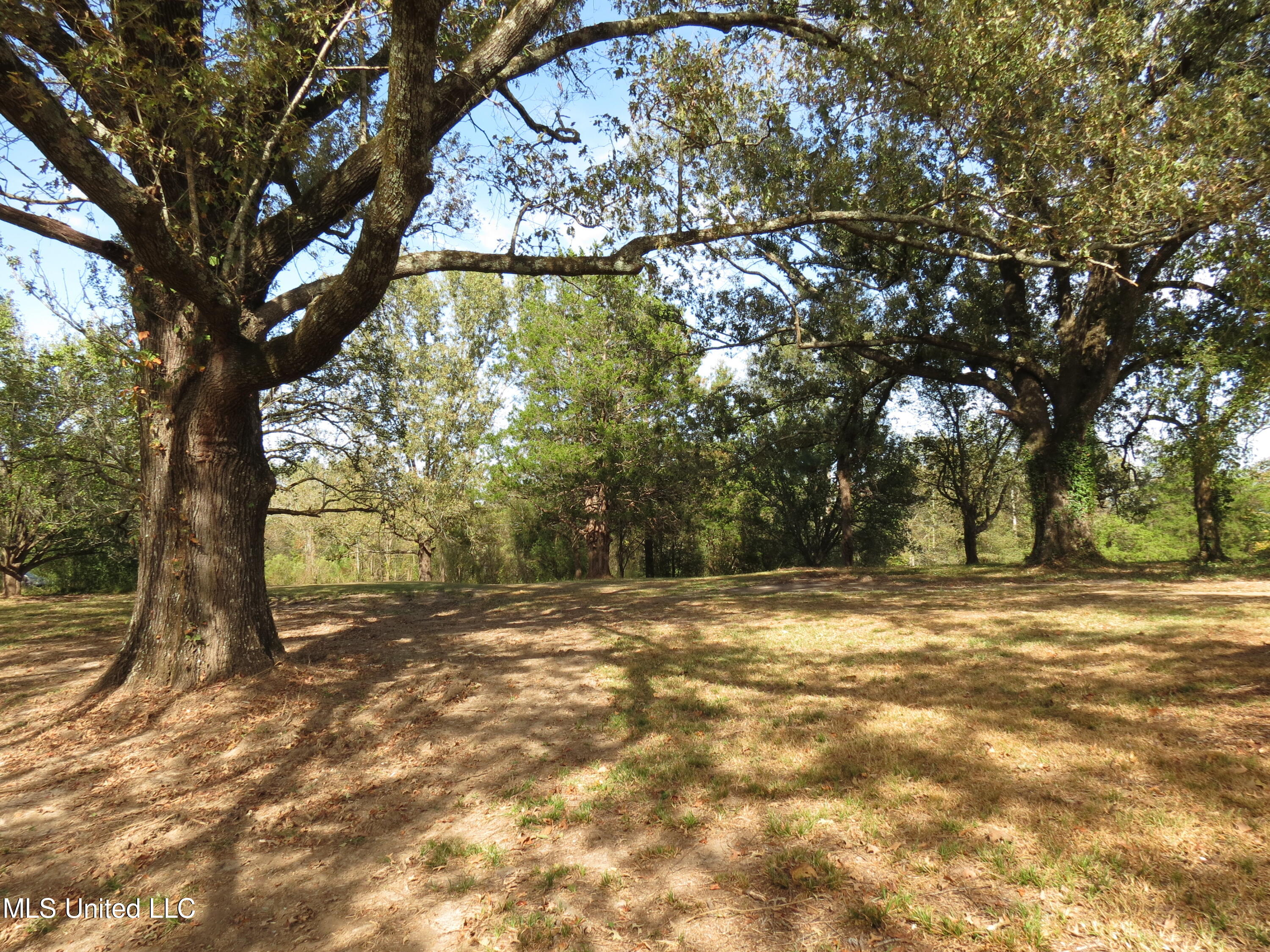 2549 South McRaven Road Jackson, MS 39209 - Photo 5 of 23 IMG_2231