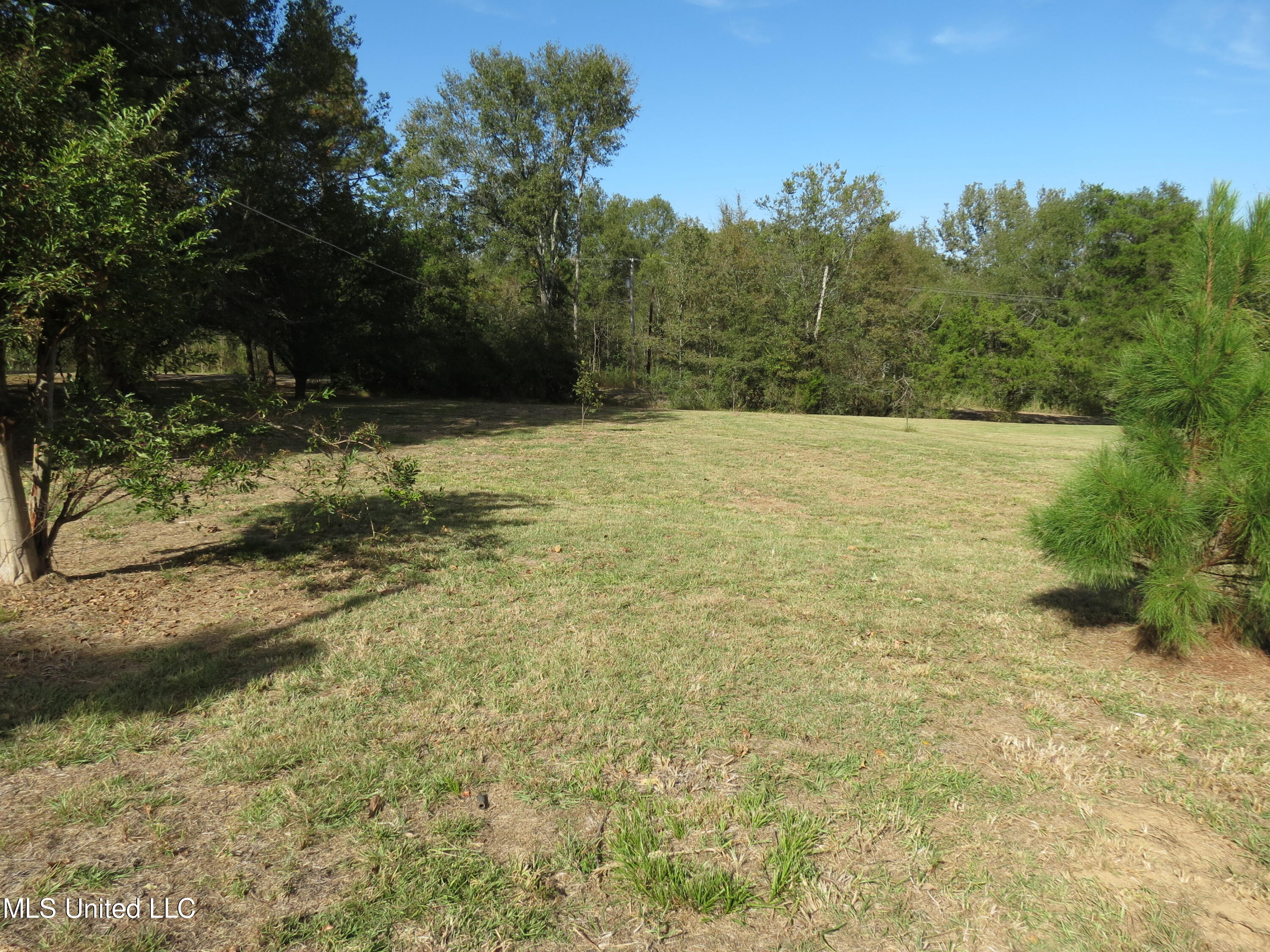 2549 South McRaven Road Jackson, MS 39209 - Photo 6 of 23 IMG_2261