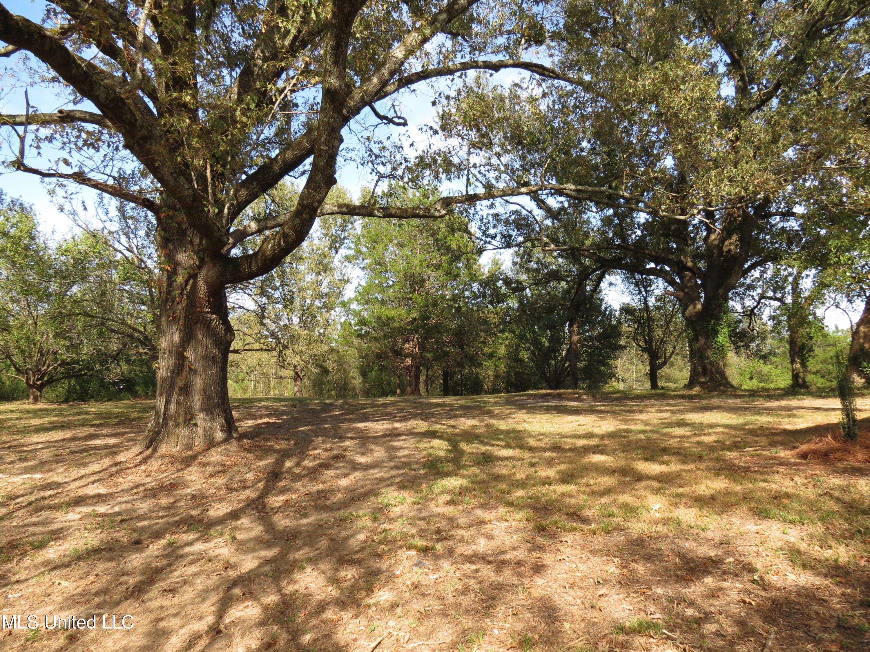 2549 South McRaven Road Jackson, MS 39209 - Photo 8 of 23 IMG_2265
