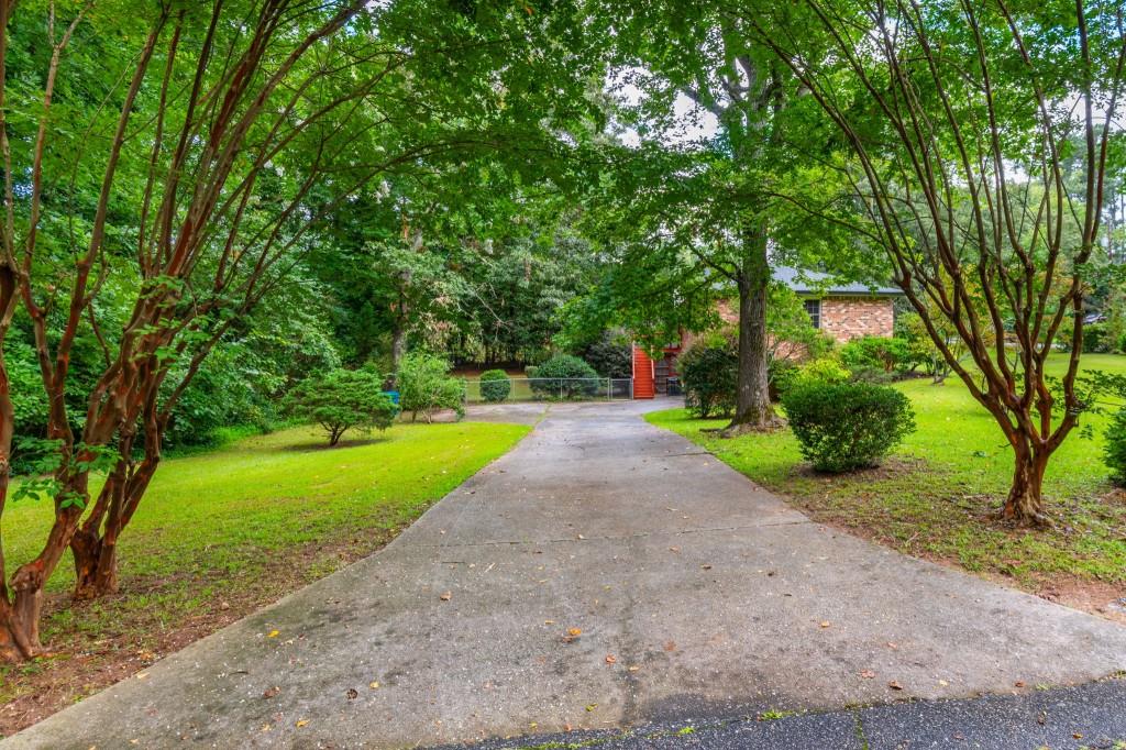4043 Casa Loma Drive Decatur, GA 30034 - Photo 32 of 36 a view of a yard with plants and large trees