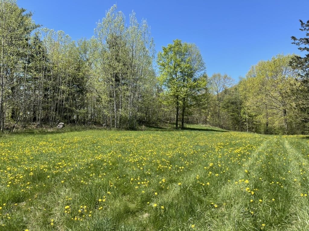 Tbd Forrest Road Bridport, VT 05734 - Photo 2 of 7