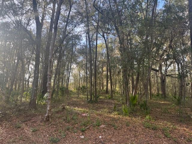 Southeast 43rd Street Ocala, FL 34480 - Photo 5 of 11 a view of outdoor space and green space