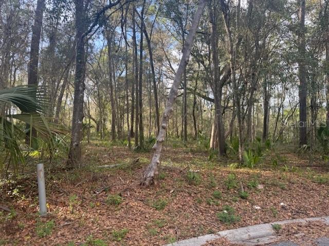 Southeast 43rd Street Ocala, FL 34480 - Photo 6 of 11 a view of a forest with trees in the background