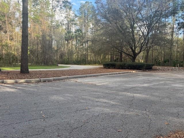 Southeast 43rd Street Ocala, FL 34480 - Photo 7 of 11 a view of a yard with large trees