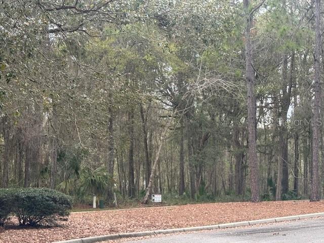Southeast 43rd Street Ocala, FL 34480 - Photo 8 of 11 a view of a yard