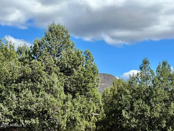 $45,000 | 4230 North Az Highway, Pine, AZ 85544