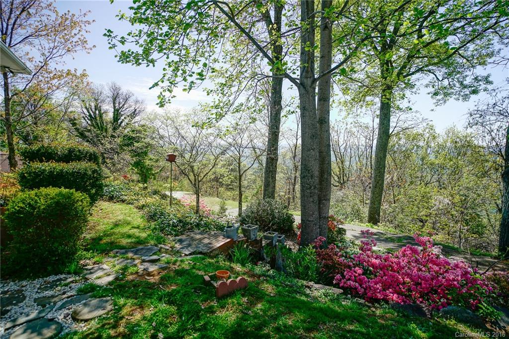 2889 Hogback Mountain Road Tryon, NC 28782 - Photo 19 of 22 Gallery Image 19