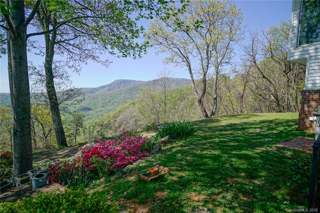 2889 Hogback Mountain Road Tryon, NC 28782 - Photo 20 of 22 Gallery Image 20