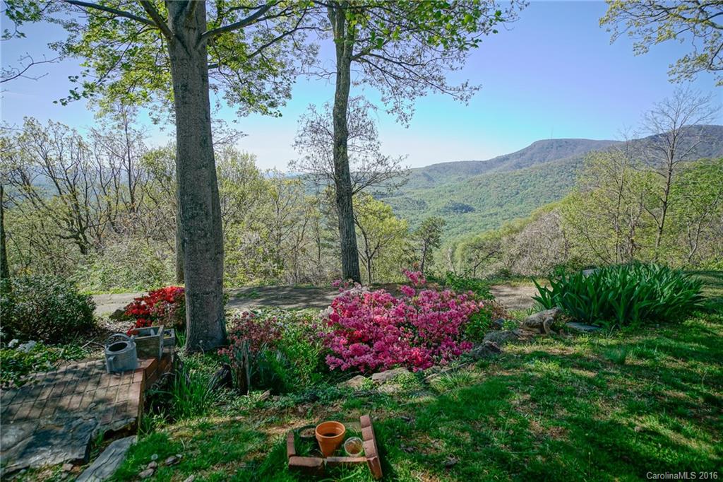 2889 Hogback Mountain Road Tryon, NC 28782 - Photo 3 of 22 Gallery Image 3