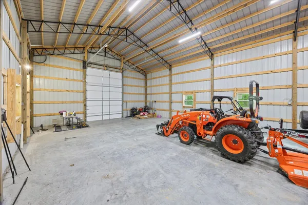 a view of a yard with plants and large trees