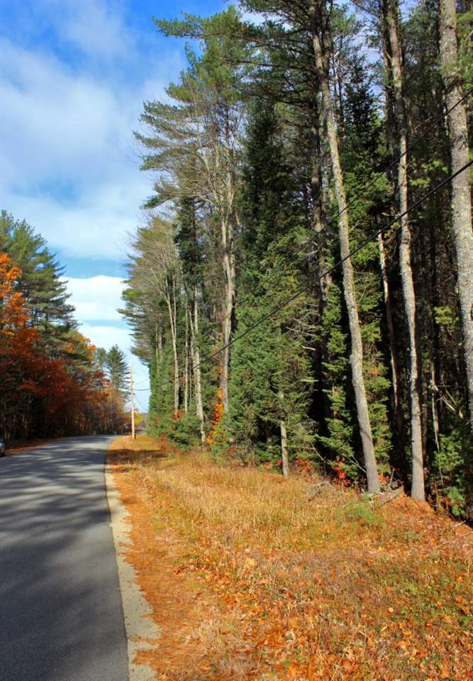 0 Rocky Knoll Road Denmark, ME 04022 - Photo 11 of 11
